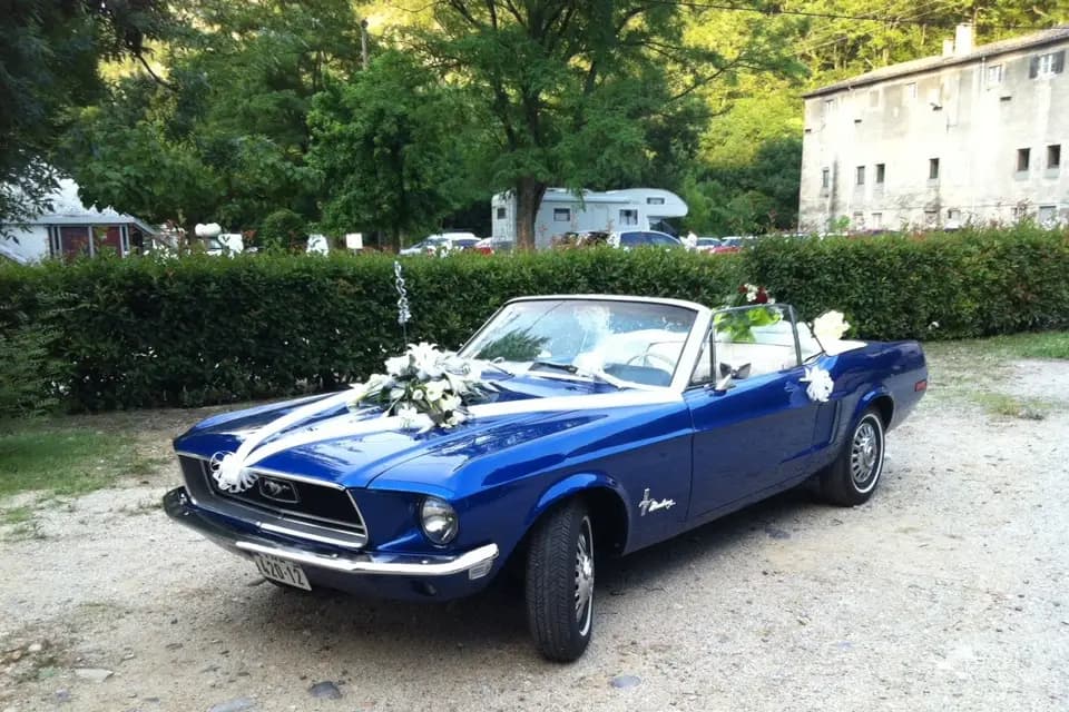 Ford Mustang by Pneu 26 — photo 2