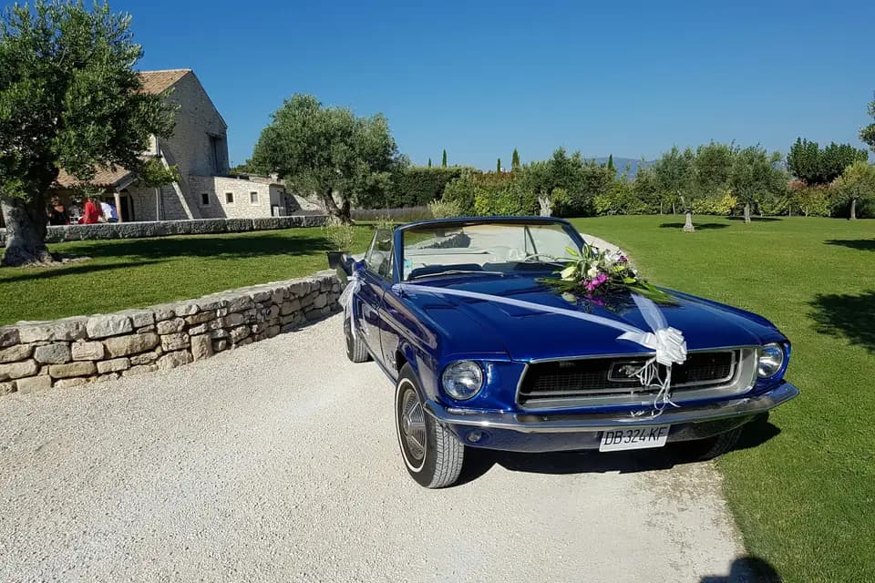 Ford Mustang by Pneu 26 — photo 1