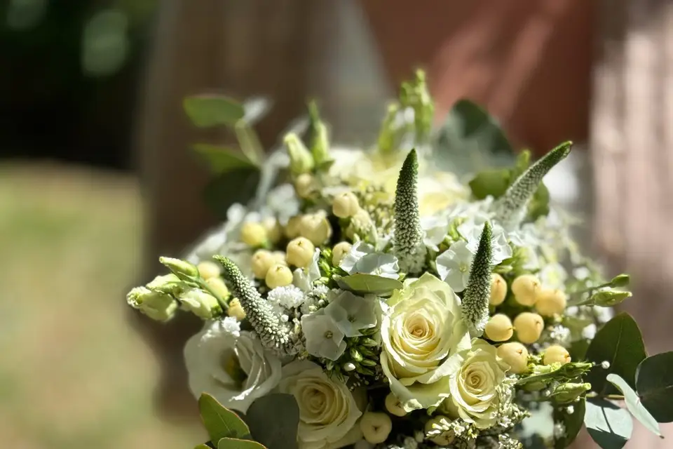 M-Pix Production — photo 6