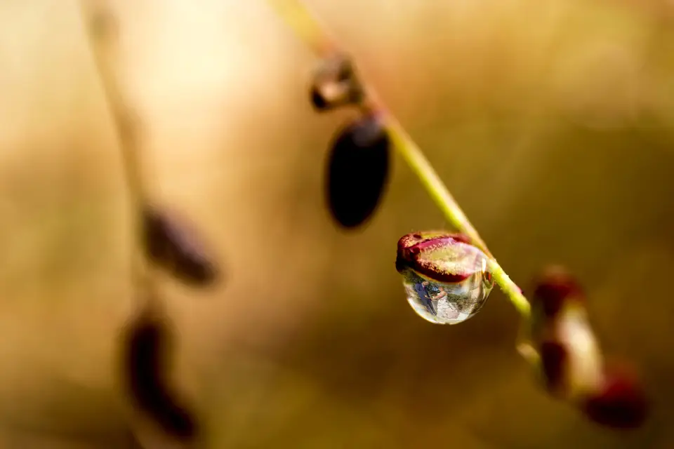 J.D.Studio-Arts — photo 6