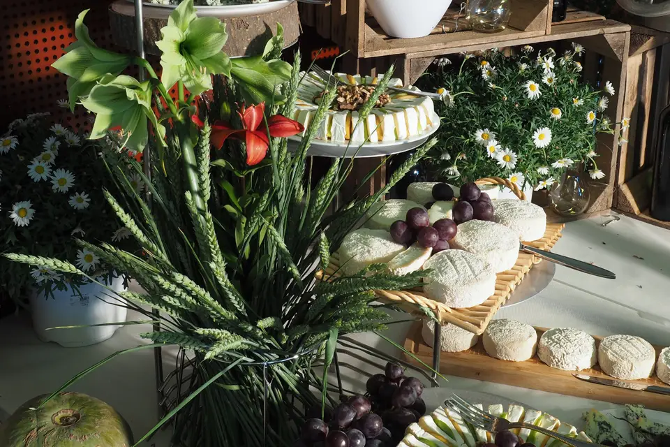 Buffet et compagnie — photo 7