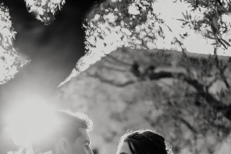 Les Bonheurs de Sophie — photo 7