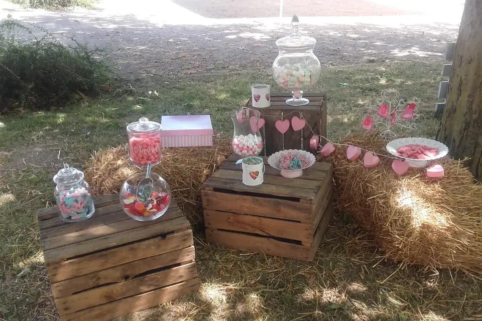 Housse de chaises Alsace — photo 3