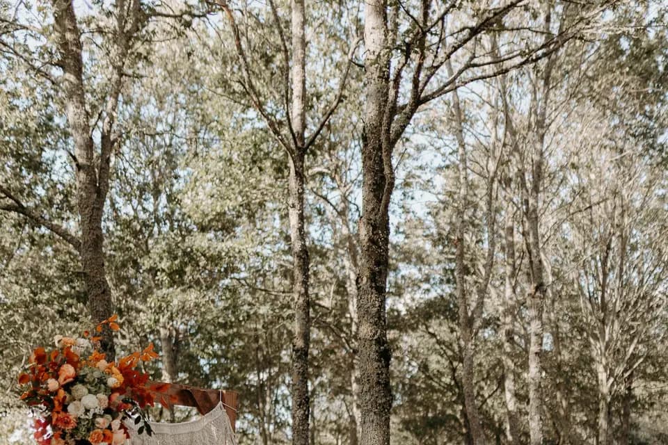 En Tandem — photo 2