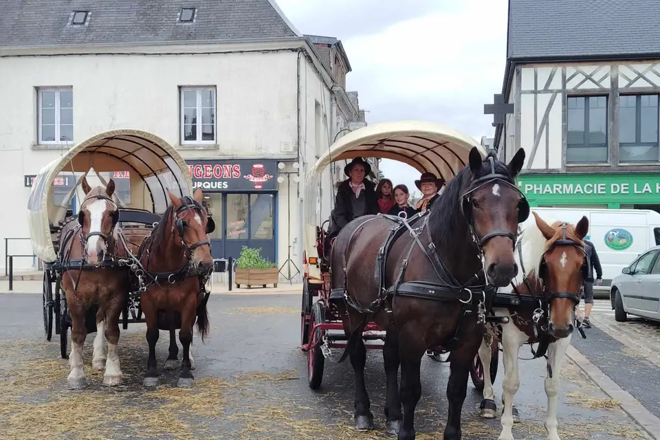 Les Girl's Attelages — photo 8