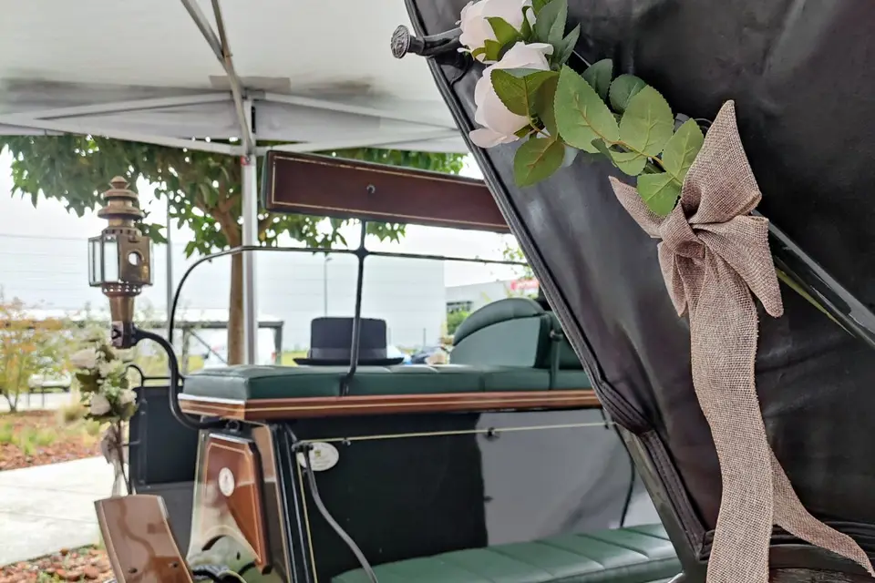 Les Girl's Attelages — photo 1