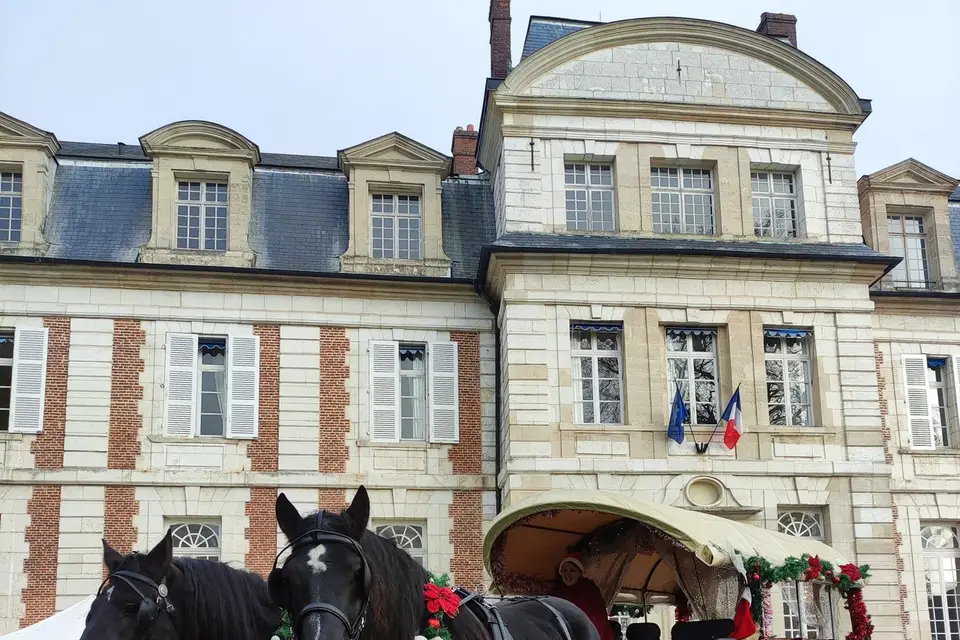 Les Girl's Attelages — photo 5