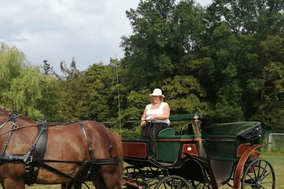 Les Girl's Attelages — photo 2