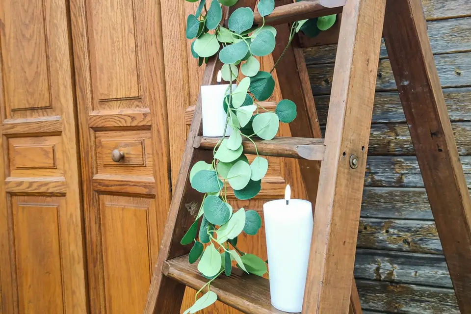 Solaya Event — photo 2