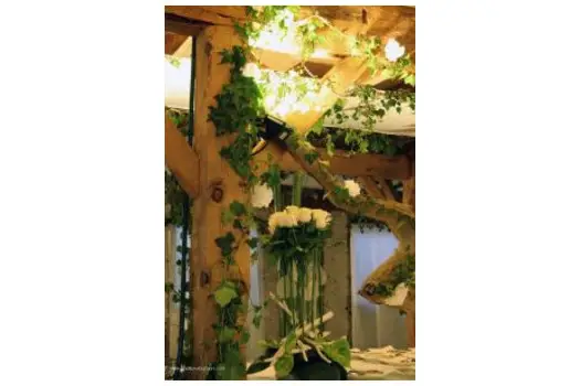 Dessine Mon Rêve — photo 3