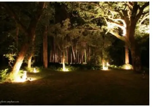 Dessine Mon Rêve — photo 4