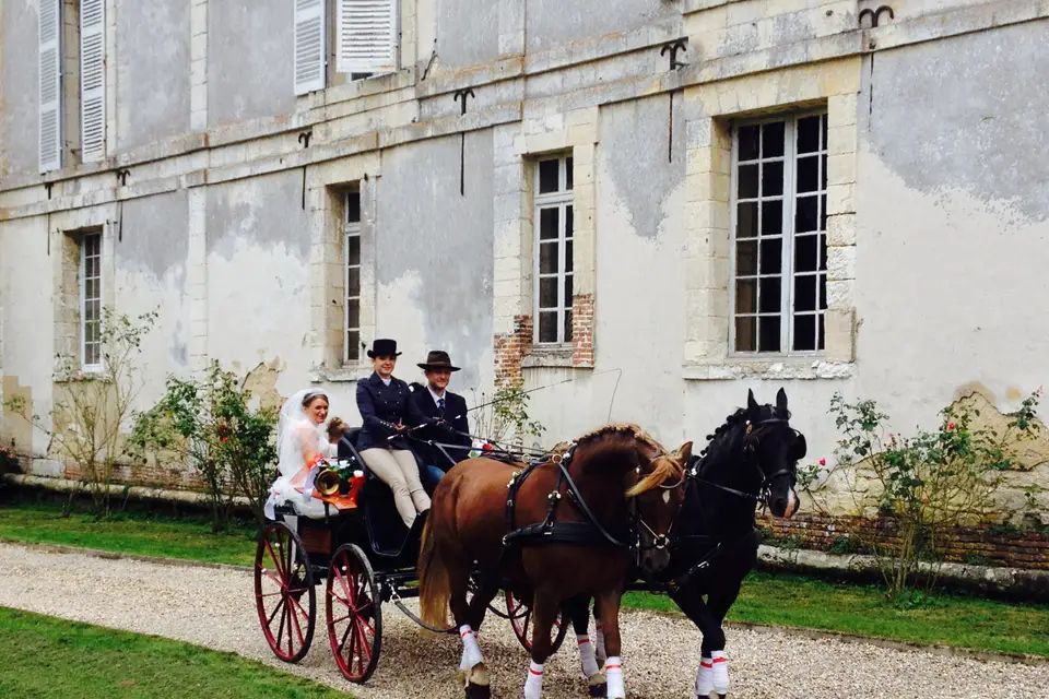 Château de Thoix — photo 4