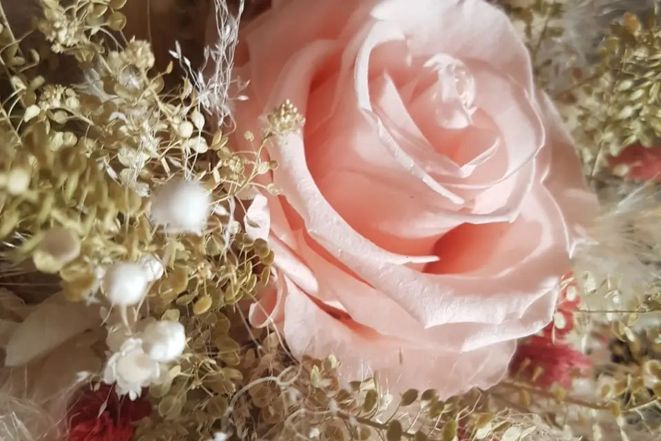 Mélodie — photo 6