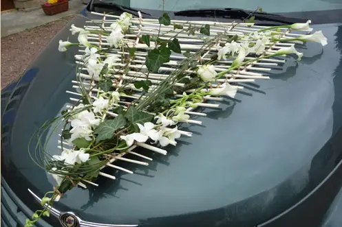 Mélodie — photo 1