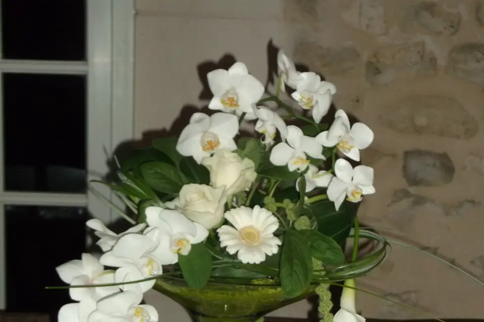 Floralys — photo 8