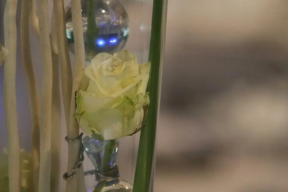 Objec'Tif Déco — photo 6