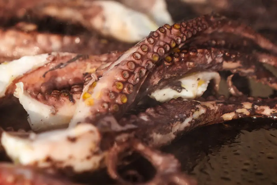 Les Smoker Bordelais — photo 3