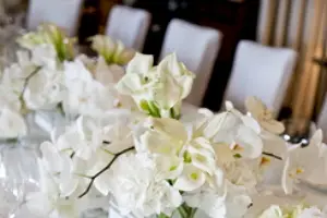 Miss Rose by Perrine — photo 3