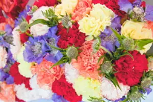 Miss Rose by Perrine — photo 2