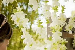 Miss Rose by Perrine — photo 5