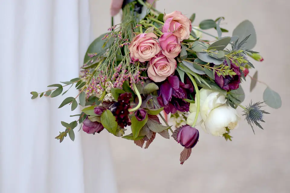 DS Singularités — photo 1