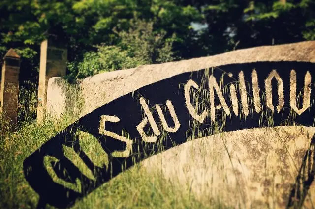 La Cave Léon Gambetta — photo 5