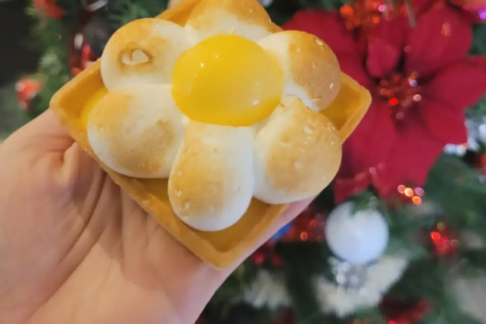 O'Sullivan — photo 2