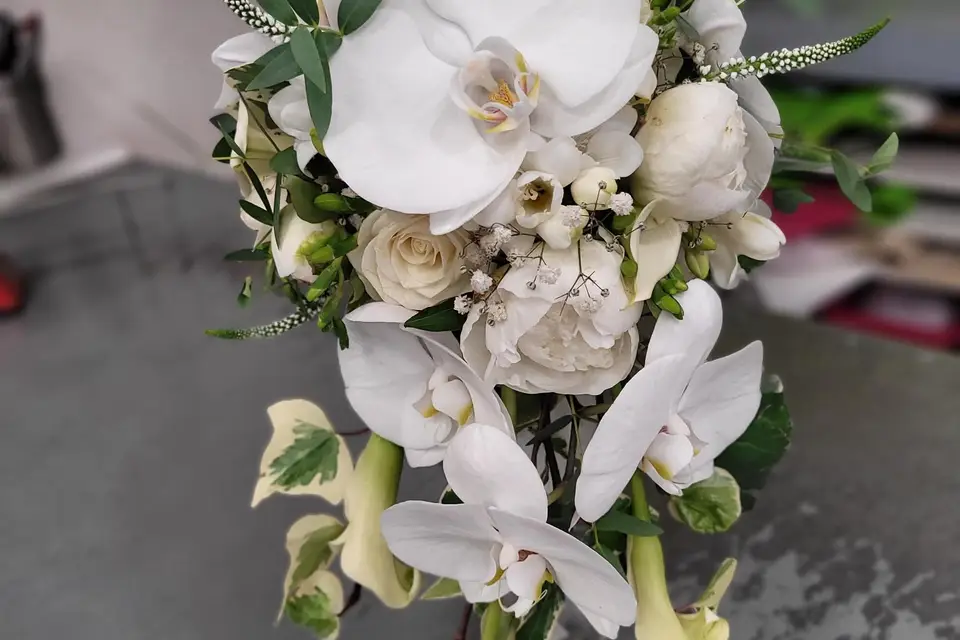 Liberty Fleurs Bonnefoy — photo 5