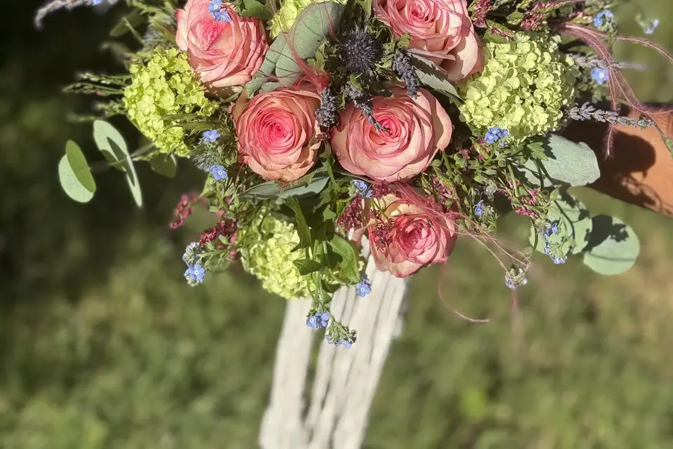 Fleurs de Coton — photo 4