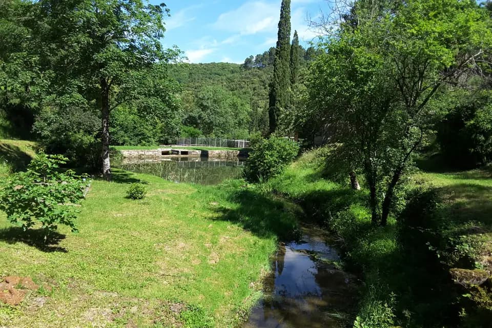 Cabanes & Bulles — photo 4