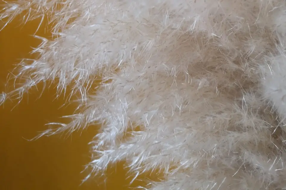 Mille Fleurs Sauvages — photo 4