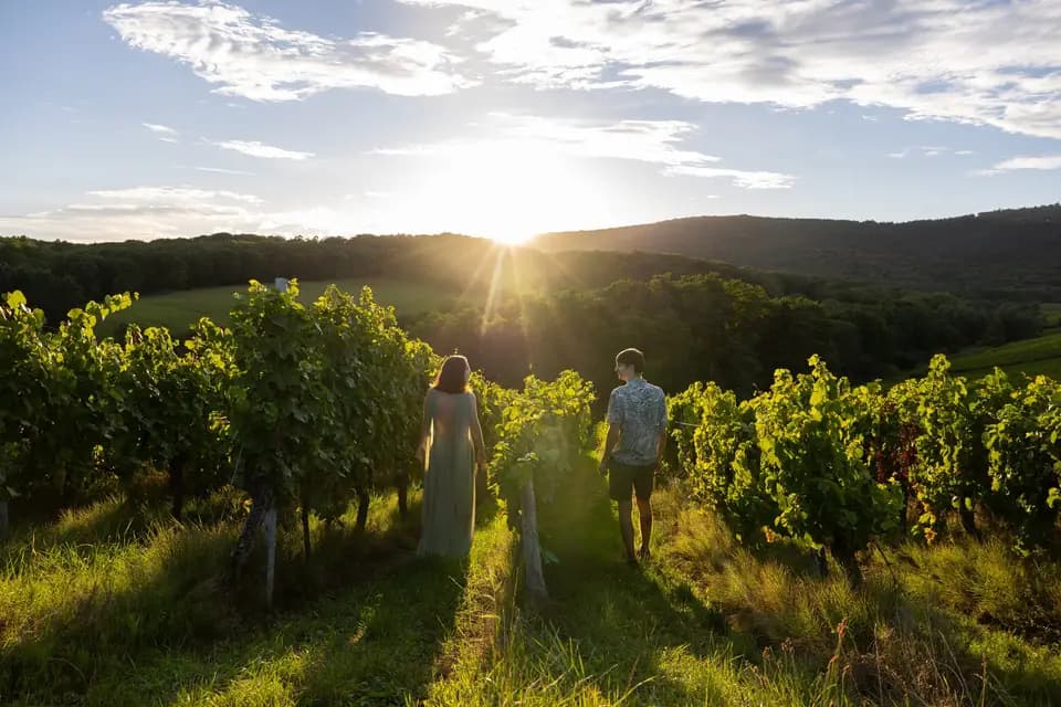 Elyora Events — photo 4