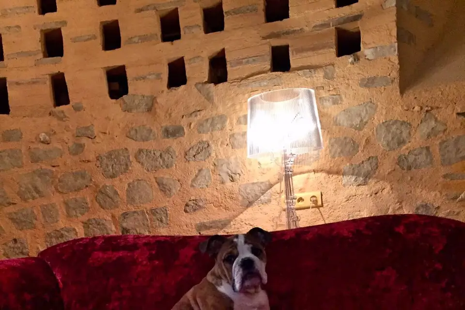 Sacas Wedding — photo 3