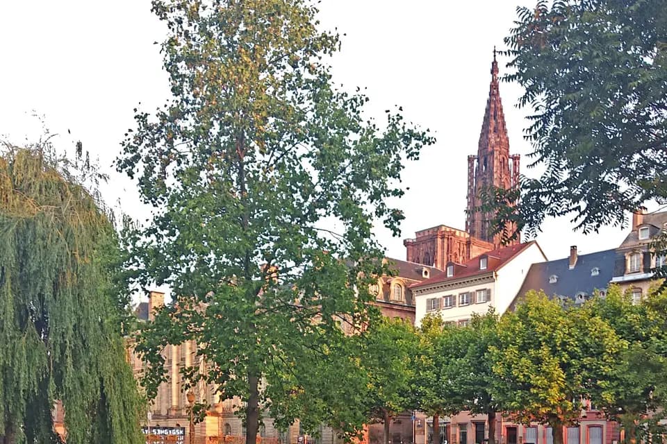 Chauffeur Pro Alsace — photo 2