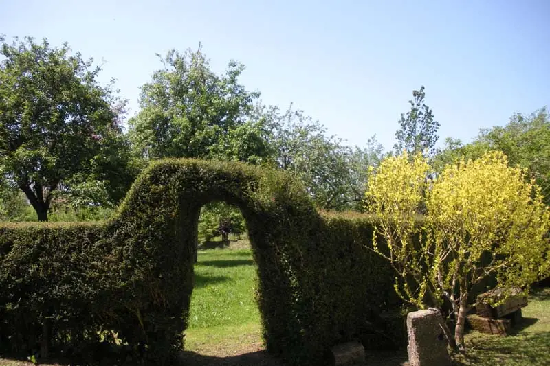 Le Colombier de la Baie De Sienne — photo 4