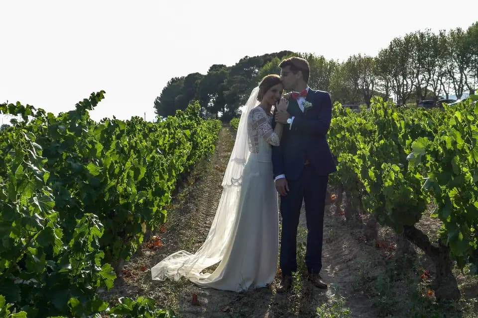 Dronevar — photo 3