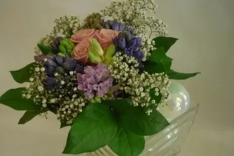 Elise Renault — photo 4