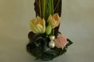 Elise Renault — photo 5