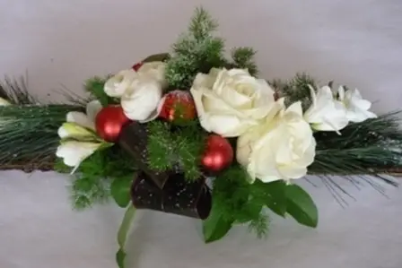 Elise Renault — photo 1