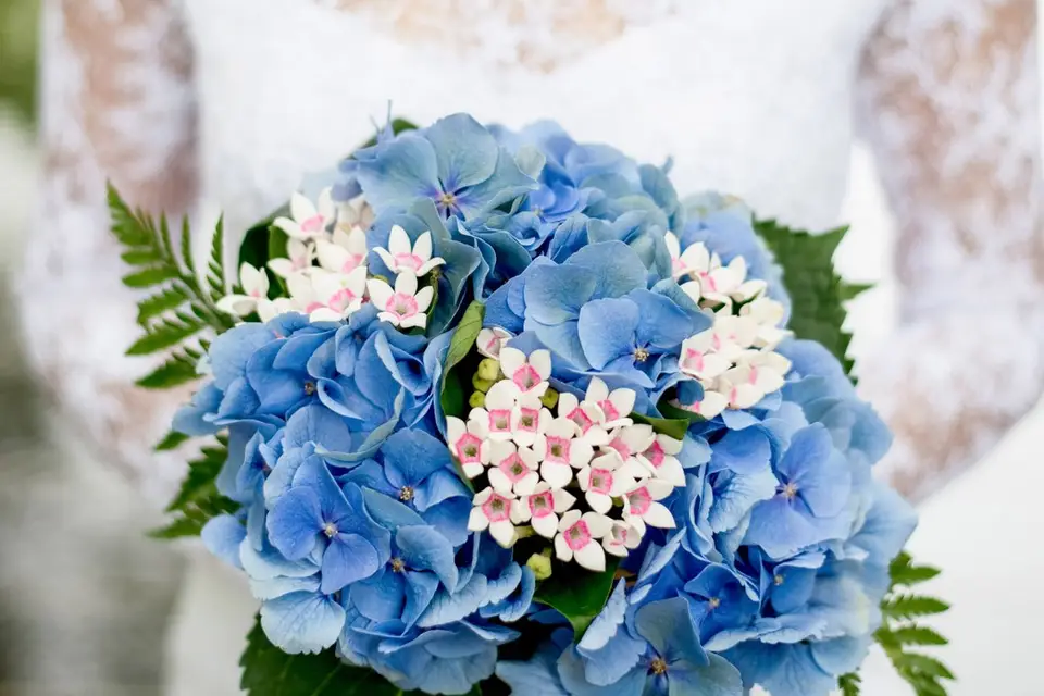 Moment Parfait — photo 2