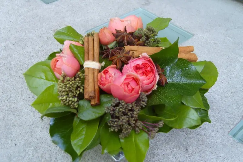 Elise Renault — photo 8