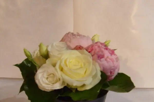 Elise Renault — photo 7