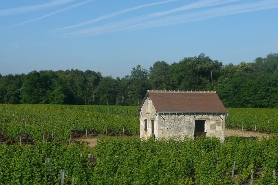 Domaine des Champs Gonneau