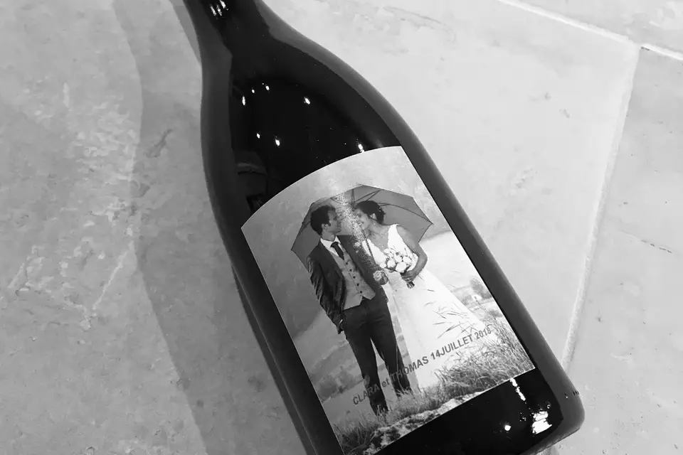 Domaine des Champs Gonneau — photo 4