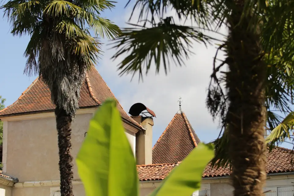 Château Saint Martin — photo 4