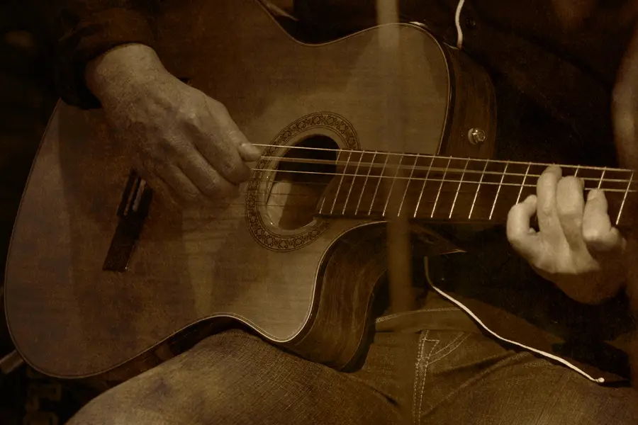 La Pulse à l'Oreille — photo 8