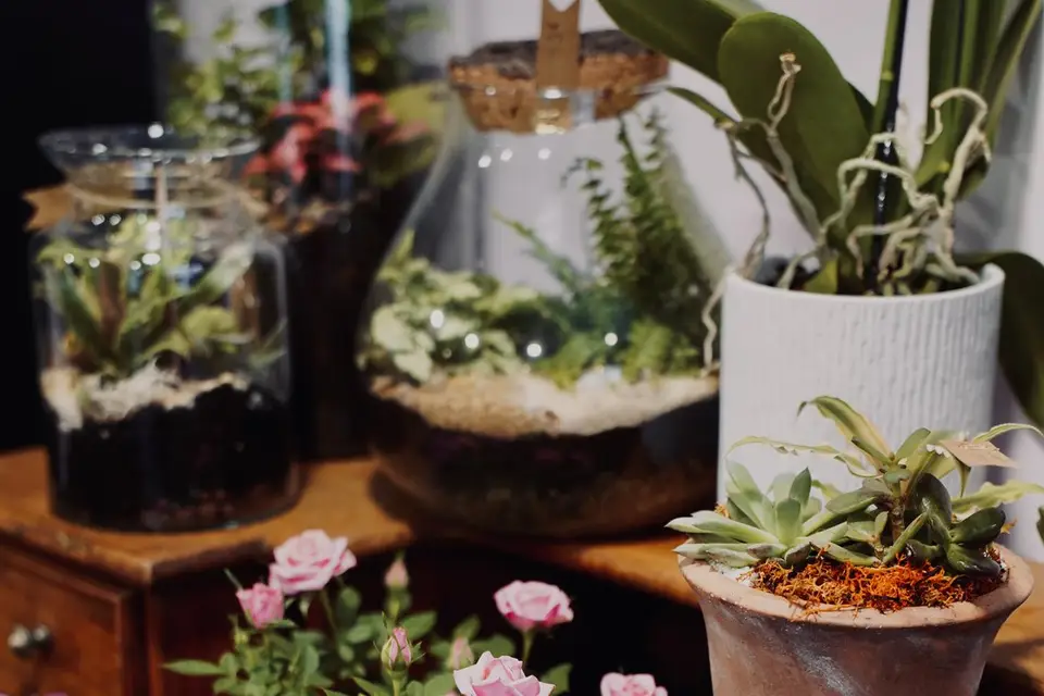 P'tite Nature — photo 4