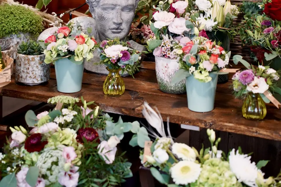 P'tite Nature — photo 5