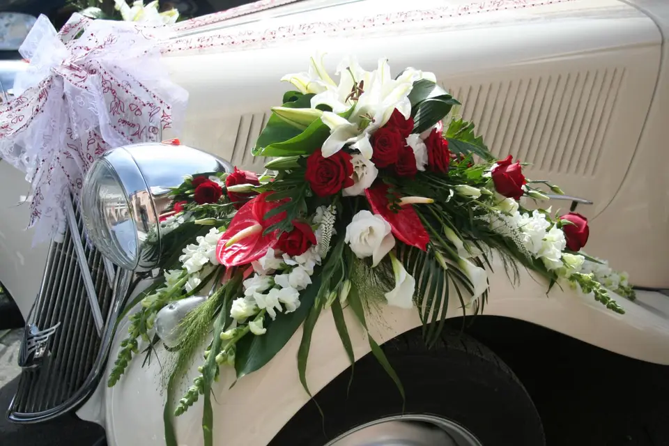 EnTractTour — photo 6