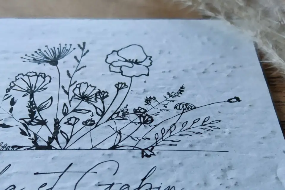 C.l'hirondelle — photo 4